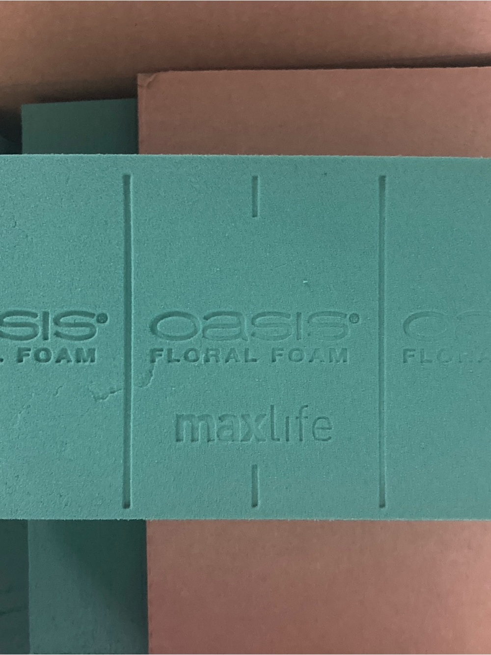 Oasis MaxLife Instant Floral Foam 2 blocks